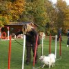 agility 2011-10-30